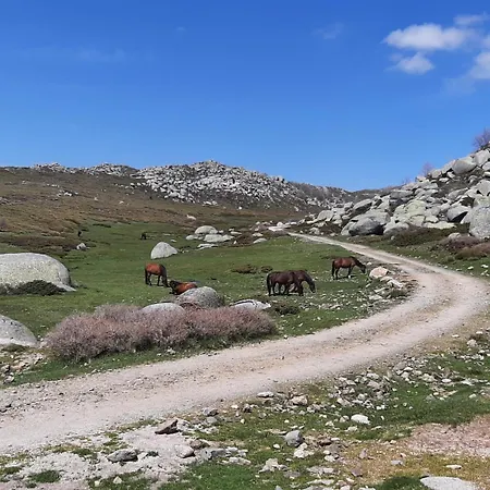 아파트 3 Pieces 80 M2 *