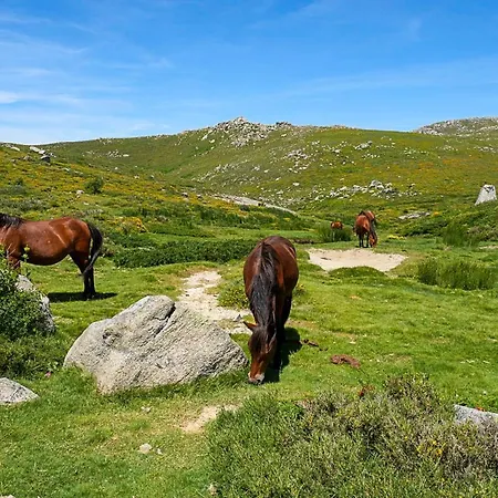 3 Pieces 80 M2 퀀자