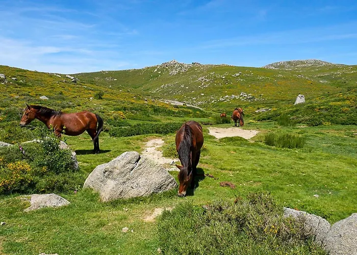 3 Pieces 80 M2 奎泽