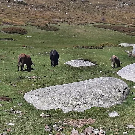 Lägenhet 3 Pieces 80 M2 *