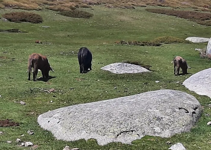 Apartmán 3 Pieces 80 M2 *