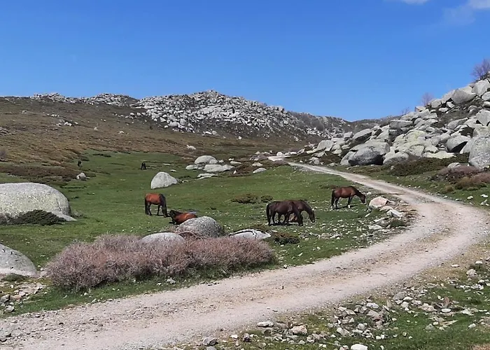 Apartmán 3 Pieces 80 M2 *